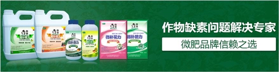 #微肥課堂#為什么葉面肥養(yǎng)分含量相同,效果卻不同? #微肥課堂#為什么葉面肥養(yǎng)分含量相同,效果卻不同?