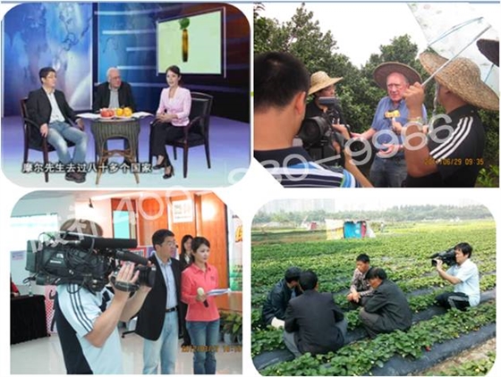 廣東電視臺搖錢樹欄目的余教授 廣東電視臺搖錢樹欄目的余教授