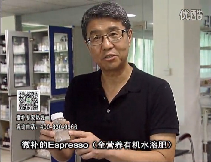 20160822珠江臺搖錢樹：柑橘秋梢淋沖因迪樂精華粉，補充有機營養(yǎng)，健壯果樹