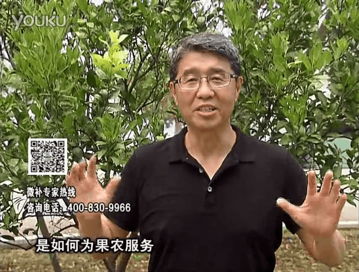 20160912珠江臺搖錢樹：針對果場面積、缺素營養(yǎng)、設(shè)施管理、投入產(chǎn)出，微補做個性化定制服務(wù)