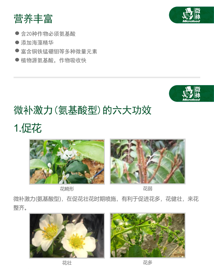 微補(bǔ)激力氨基酸型