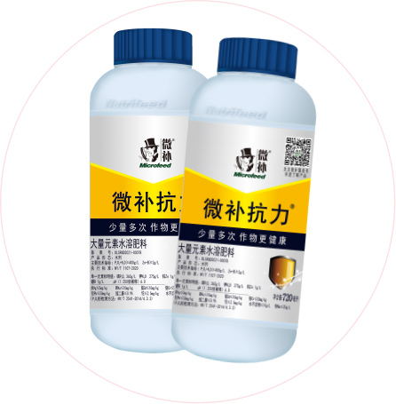 如何做好冬季清園，減少來(lái)年病蟲(chóng)害影響