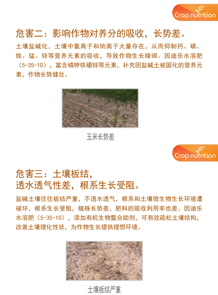 因迪樂水溶肥5-35-10