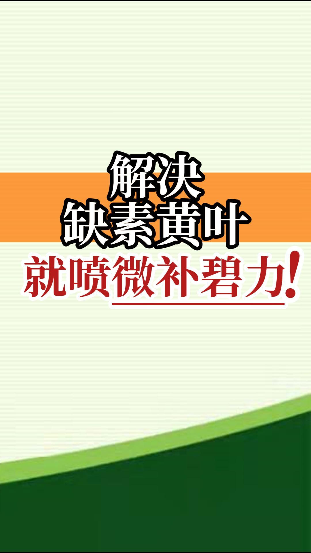 解決缺素黃葉就噴微補(bǔ)碧力！